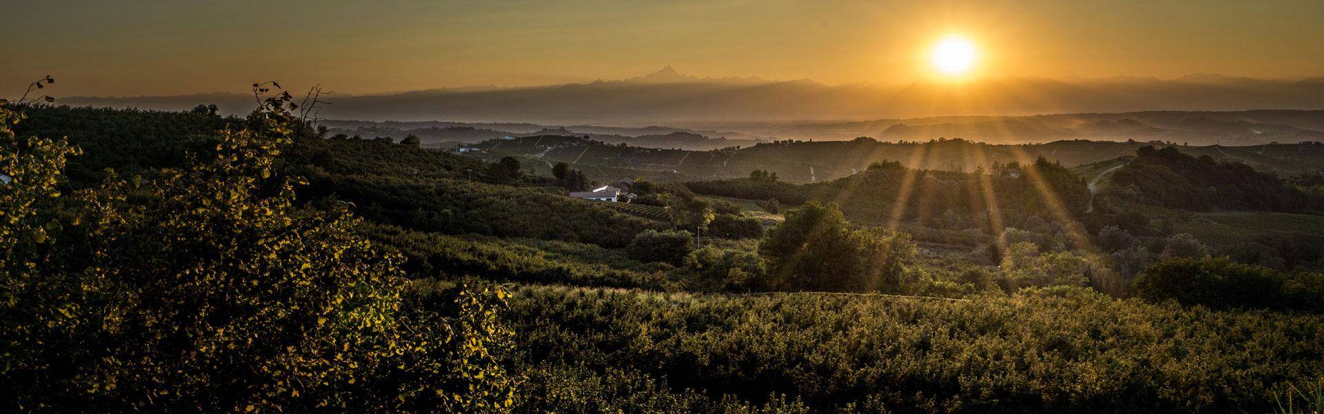 La Morella Almond orchards in spain